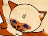 catAndMouse