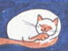 goodnight